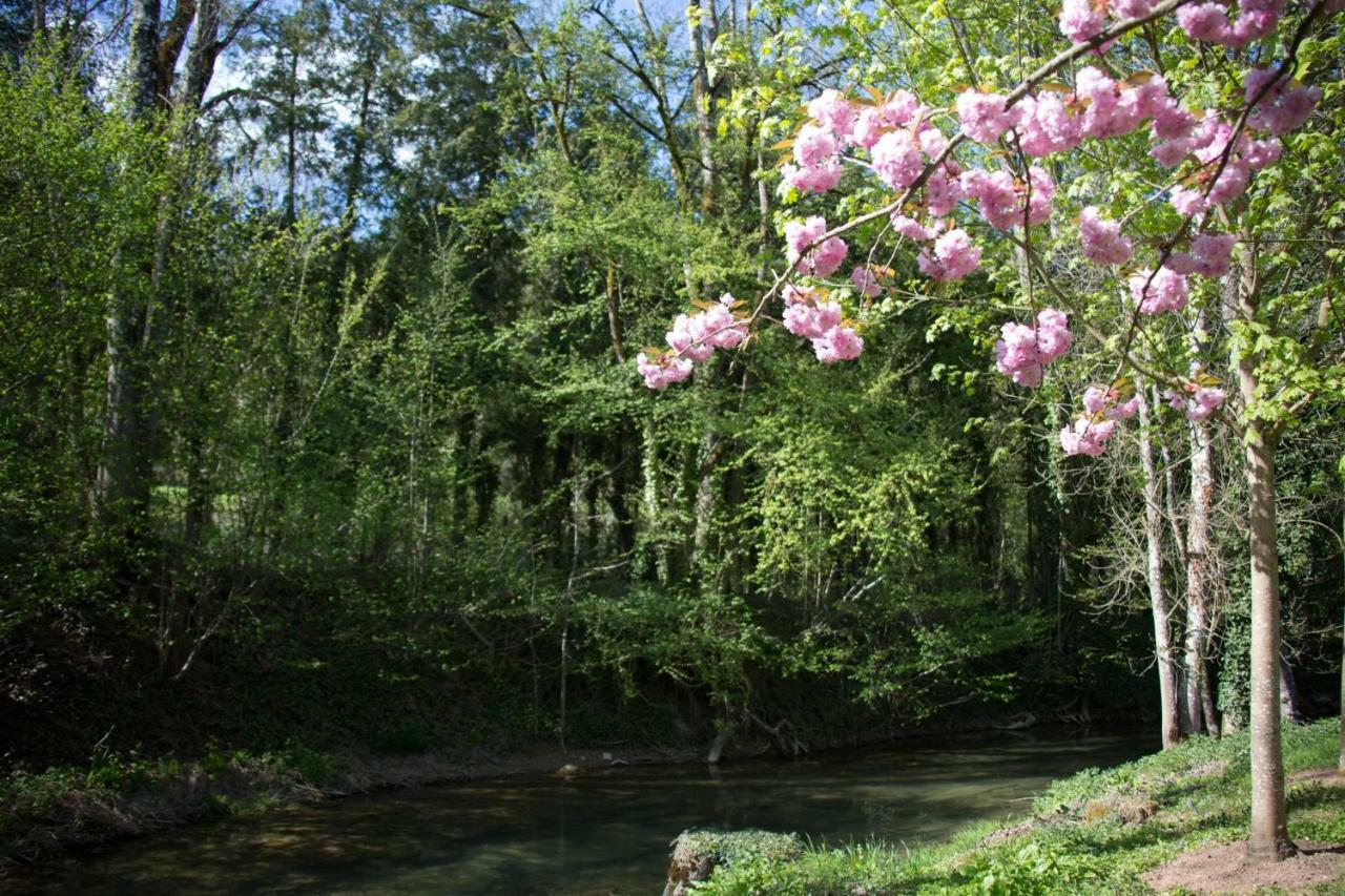 Gite Moulin De La Serree Villa Nuits-Saint-Georges Eksteriør billede